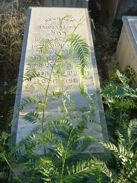 AZRAN Rahel AZRAN Rahel