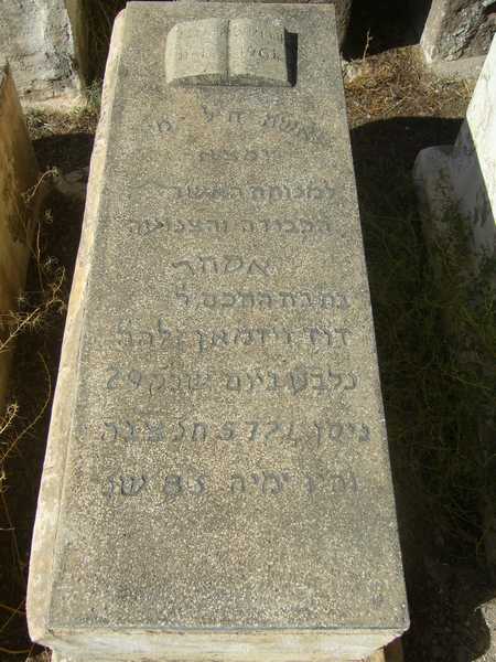 WIZMAN Esther WIZMAN Esther