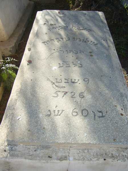 OBADIA Salomon OBADIA Salomon