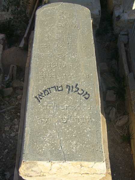 TORJMAN Makhlouf TORJMAN Makhlouf