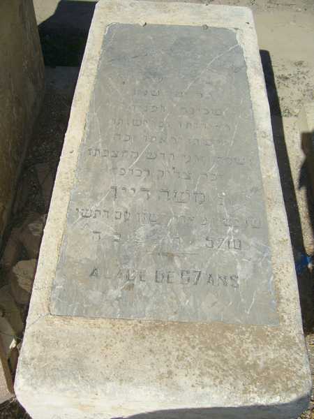 DAYAN MOSHE RABBI DAYAN MOSHE RABBI