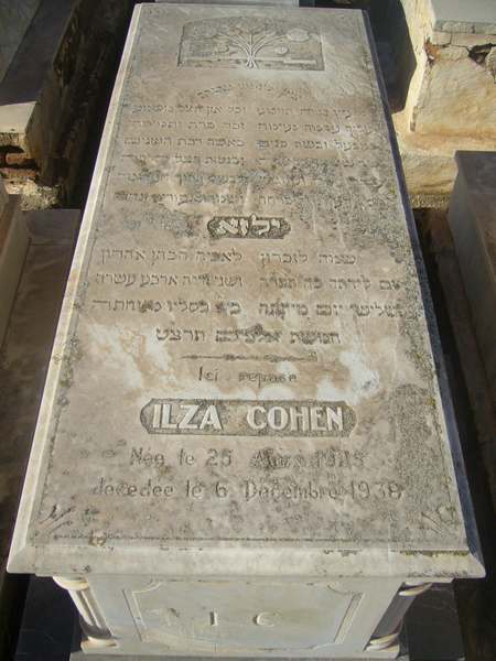 COHEN Ilza COHEN Ilza